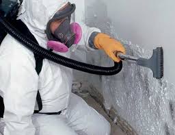 Reliable Far Hills, NJ Mold Prevention & Removal  Solutions